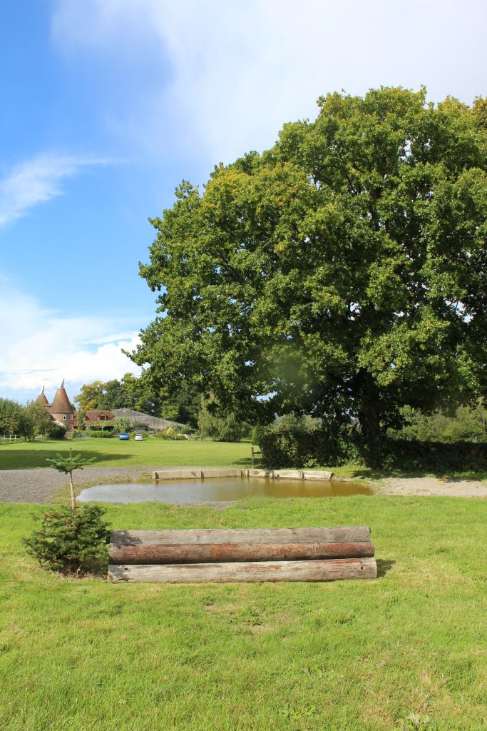 Photo of a cross country jump and water jump under a large oak tree with an oast house in the distance.