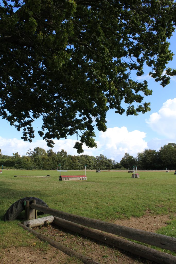 Cross country jumps in a field surrounded by trees, including a ditch and a house complex.